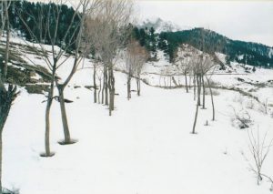 2011-02-06 23-23-53_0004