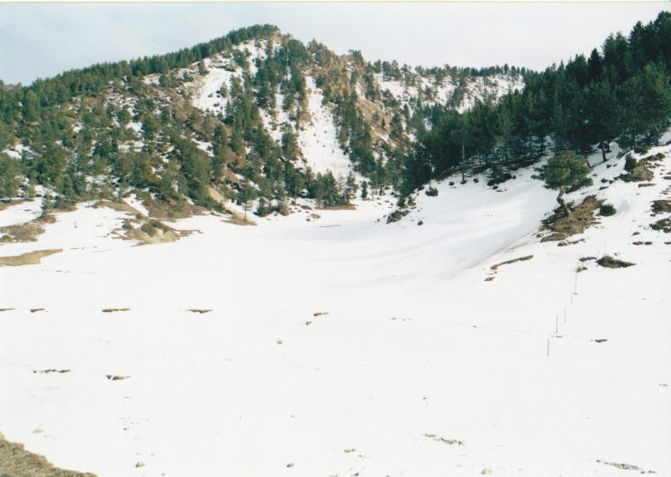 2011-02-06 23-31-39_0013