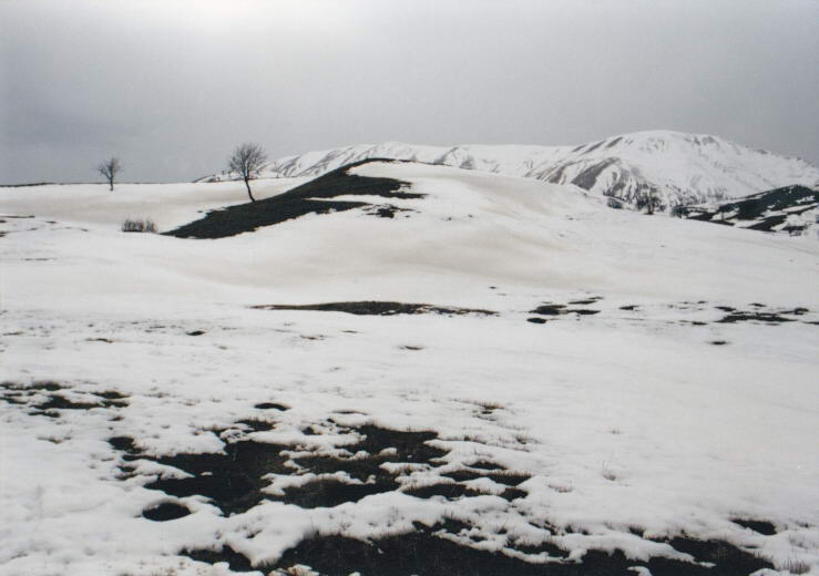 2011-02-06 23-35-39_0018