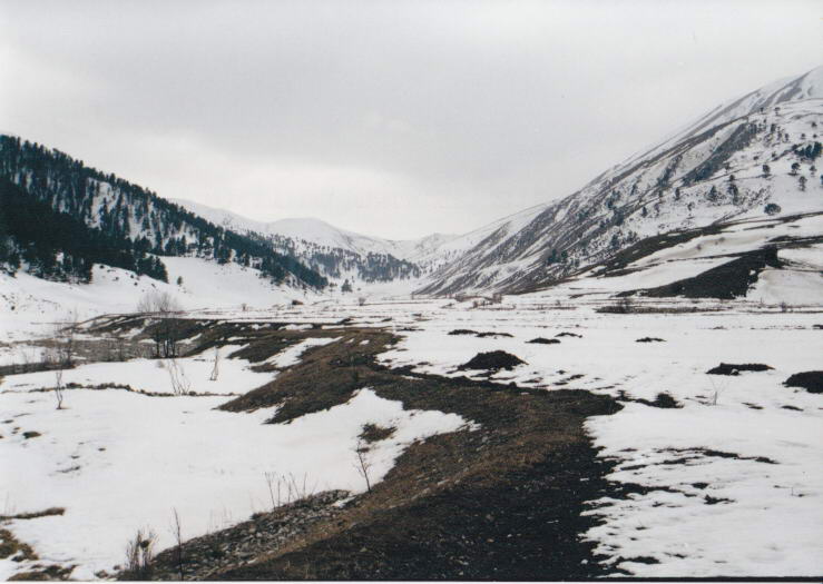 2011-02-06 23-36-50_0019