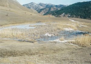 2011-02-06 23-39-33_0024