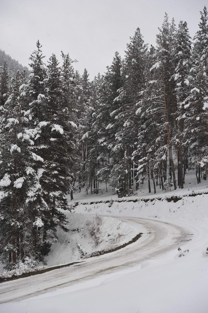 mustafachelebiarsivinden1-10