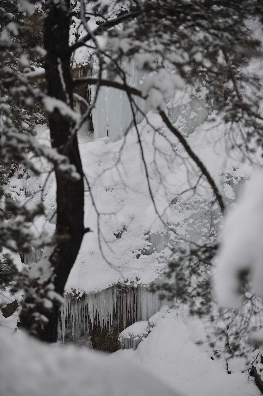 mustafachelebiarsivinden1-11