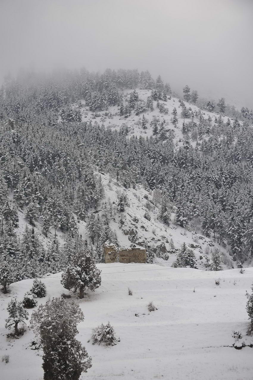 mustafachelebiarsivinden1-19