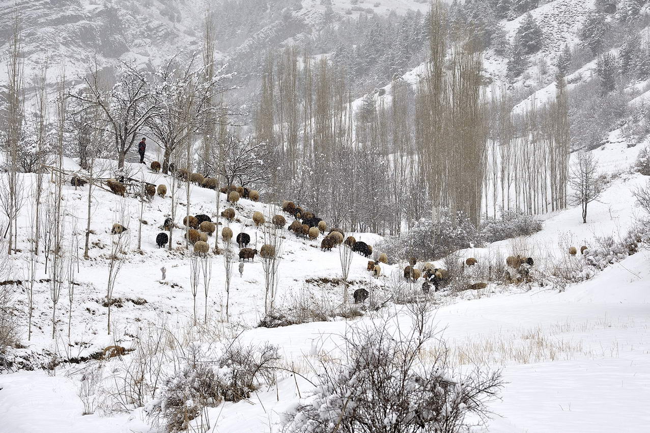 mustafachelebiarsivinden1-24