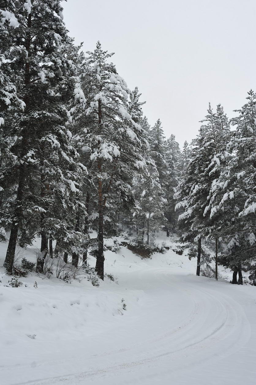 mustafachelebiarsivinden1-42