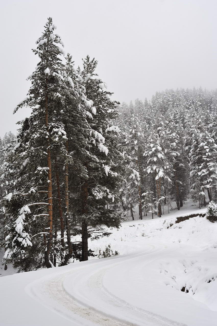 mustafachelebiarsivinden1-43