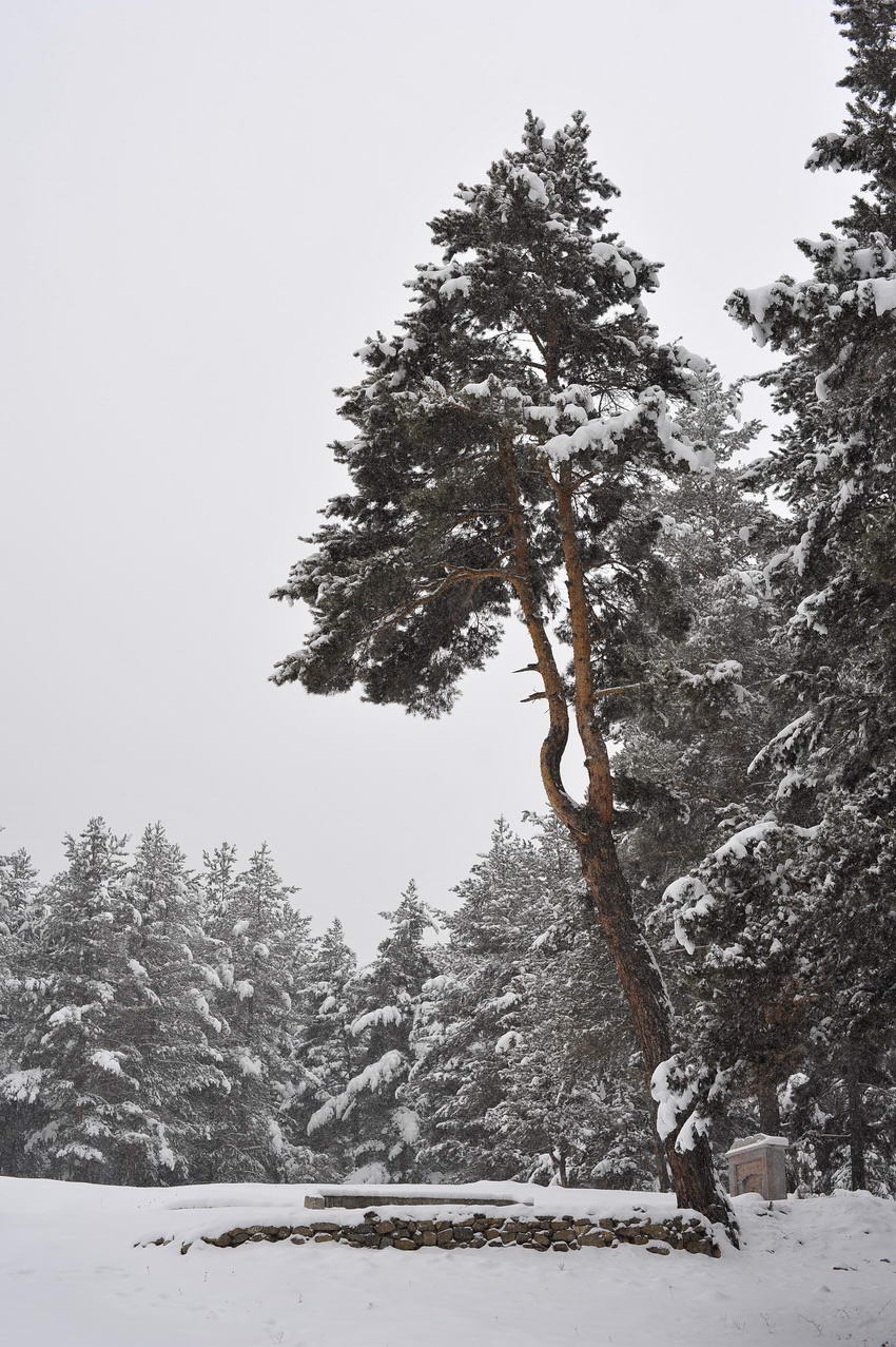 mustafachelebiarsivinden1-44