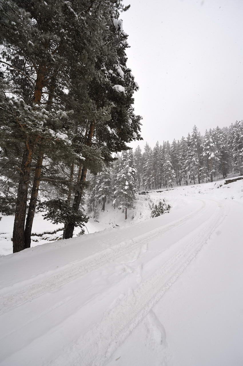 mustafachelebiarsivinden1-45