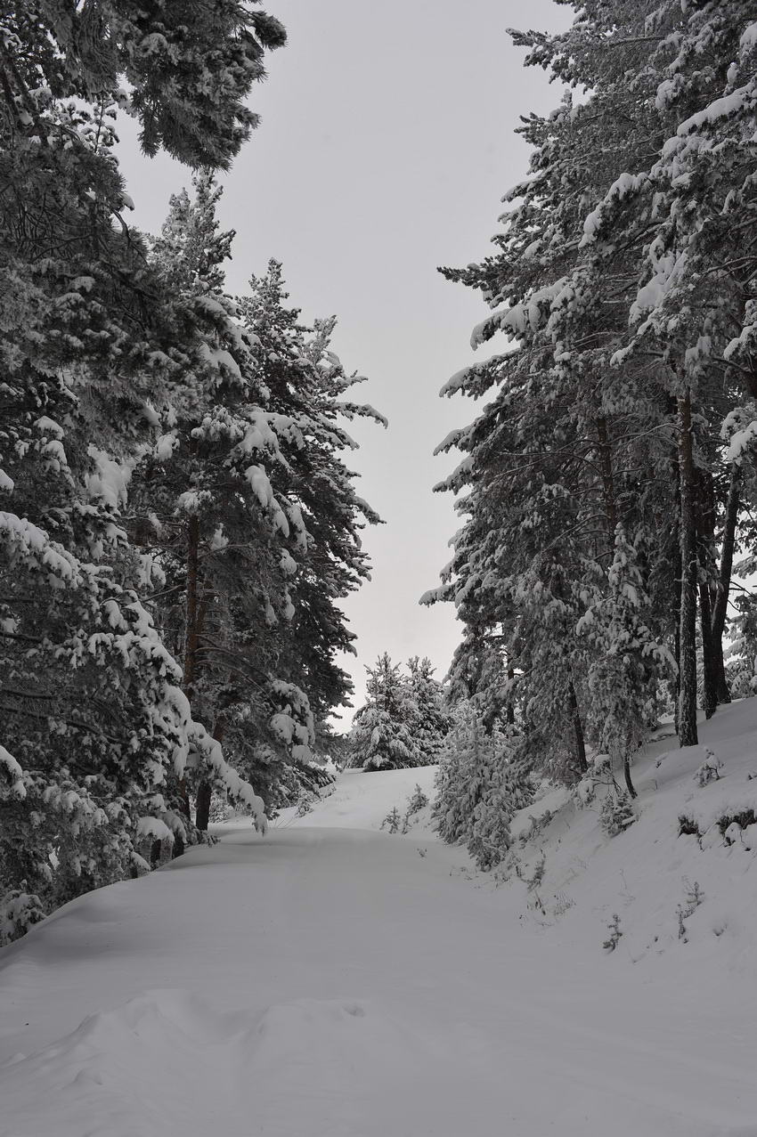 mustafachelebiarsivinden1-47