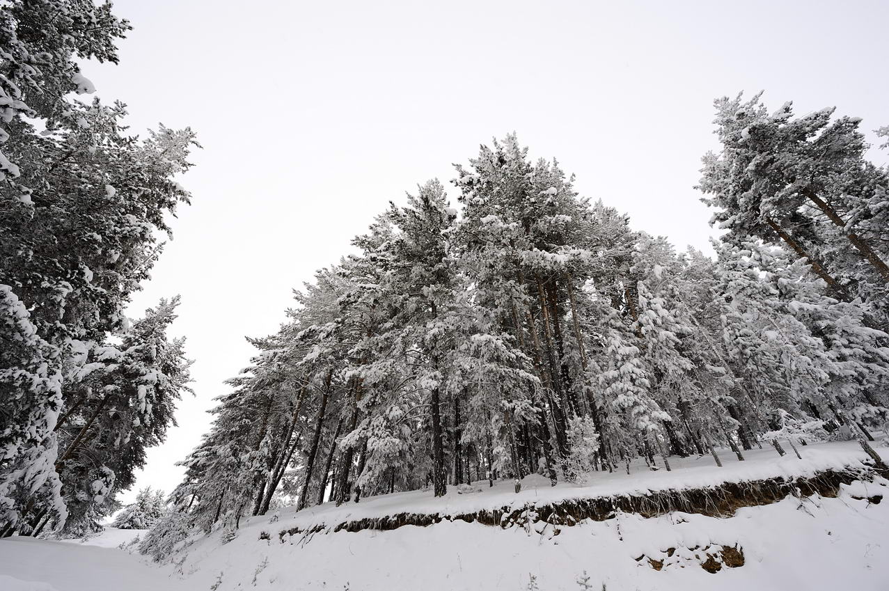 mustafachelebiarsivinden1-49