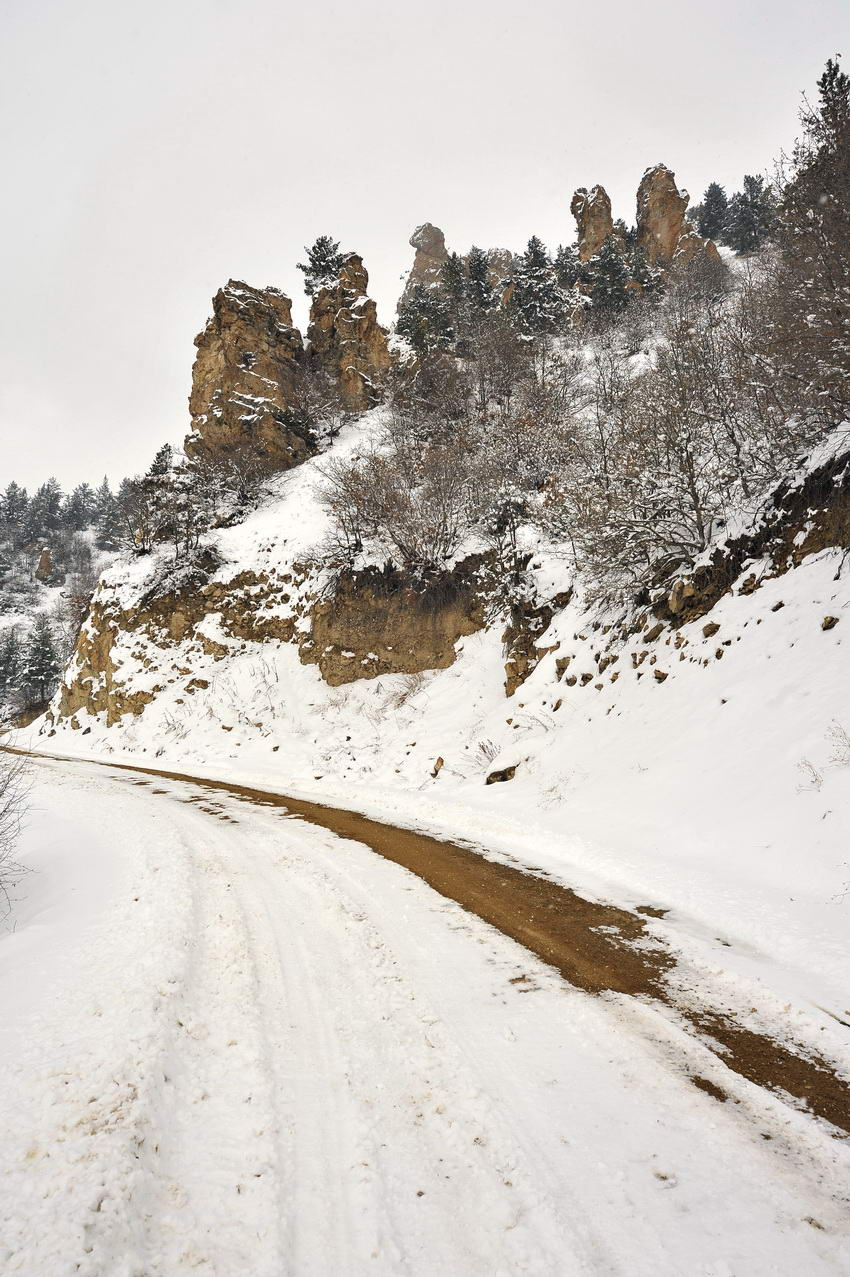 mustafachelebiarsivinden1-5