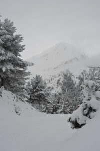 mustafachelebiarsivinden1-51