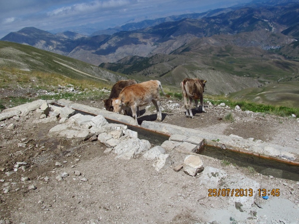 orta_pungar_çardak (15)