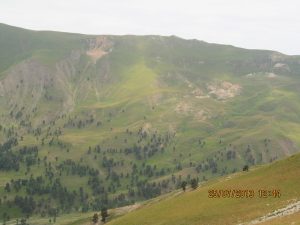 orta_pungar_çardak (2)