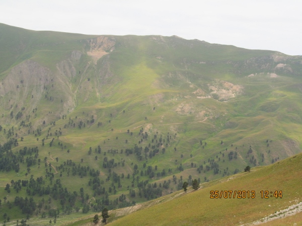 orta_pungar_çardak (2)