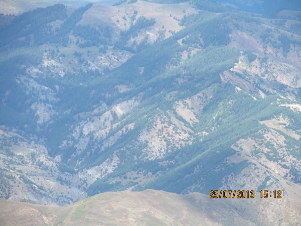 orta_pungar_çardak (24)