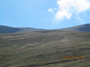 orta_pungar_çardak (34)