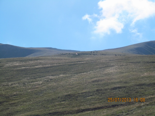 orta_pungar_çardak (34)