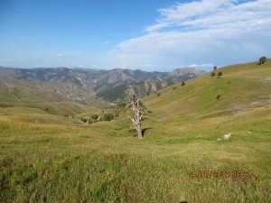 orta_pungar_çardak (36)