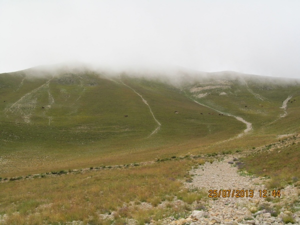 orta_pungar_çardak (4)