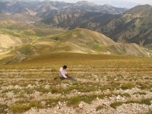 orta_pungar_çardak (9)