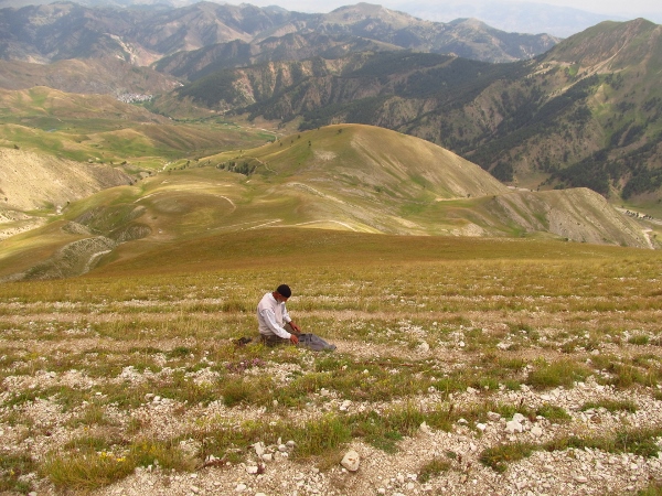 orta_pungar_çardak (9)