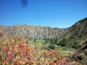 ozleyenlere_gelsin (1)