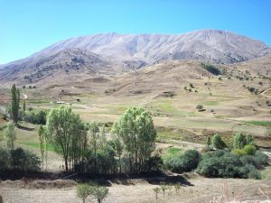 ozleyenlere_gelsin (10)