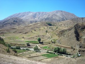 ozleyenlere_gelsin (11)