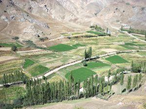 ozleyenlere_gelsin (12)