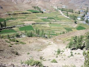 ozleyenlere_gelsin (13)