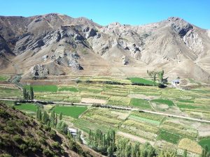 ozleyenlere_gelsin (17)