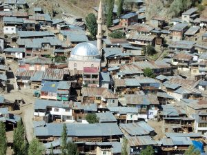 ozleyenlere_gelsin (19)