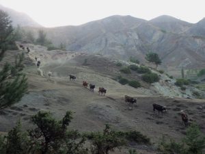 ozleyenlere_gelsin (24)