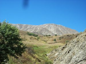 ozleyenlere_gelsin (3)