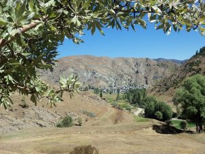 ozleyenlere_gelsin (4)