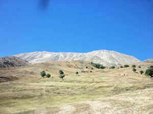 ozleyenlere_gelsin (5)