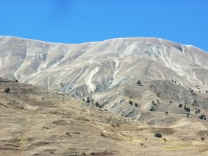 ozleyenlere_gelsin (9)